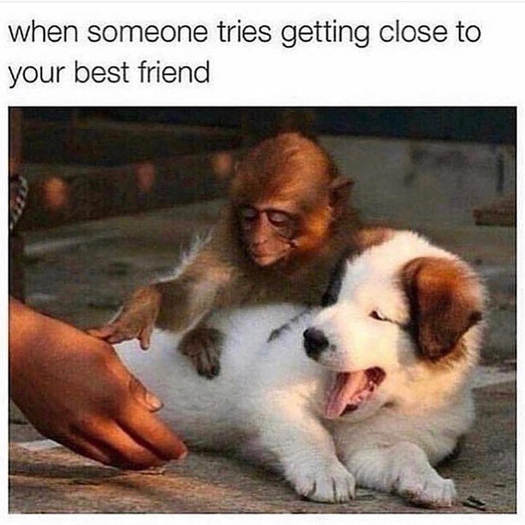 When someone tries getting close to your best friend.