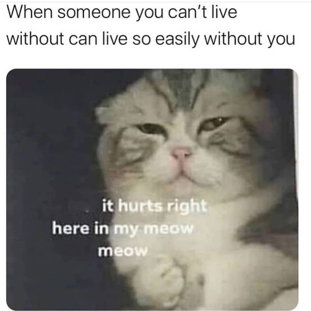 When someone you can't live without can live so easily without you it hurts right here in my meow meow.