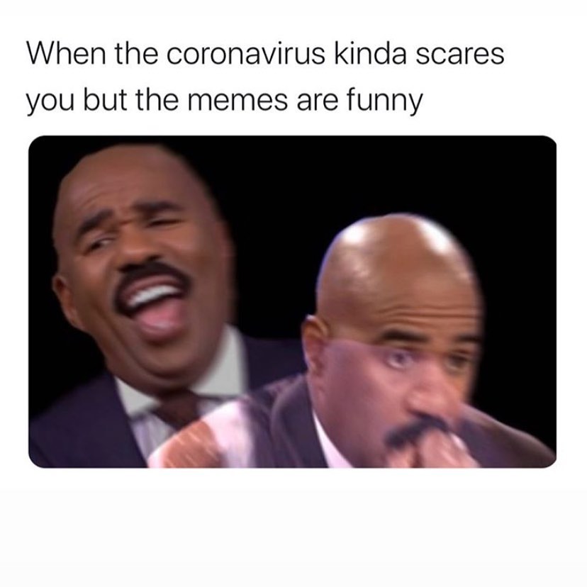 When the coronavirus kinda scares you but the memes are funny.