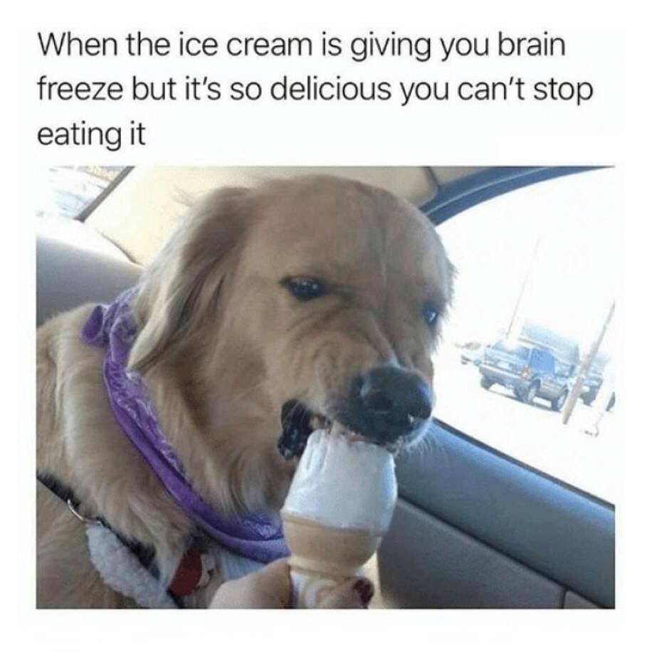 When the ice cream is giving you brain freeze but it's so delicious you can't stop eating it.