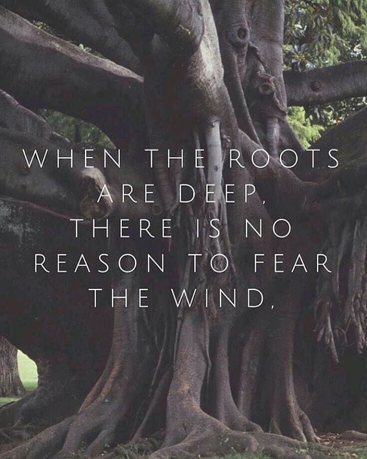 When The Roots Are Deep There Is No Reason To Fear The Wind Phrases