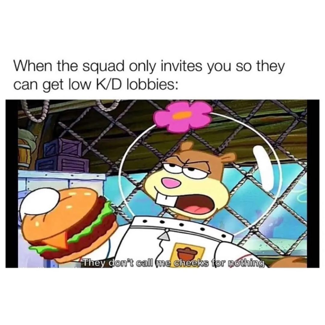 When the squad only invites you so they can get low K/D lobbies: They don't call me cheeks for nothing.
