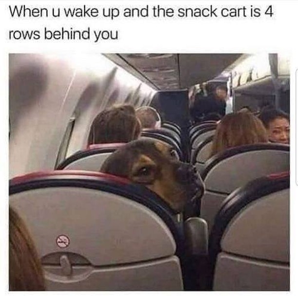 When u wake up and the snack cart is 4 rows behind you.