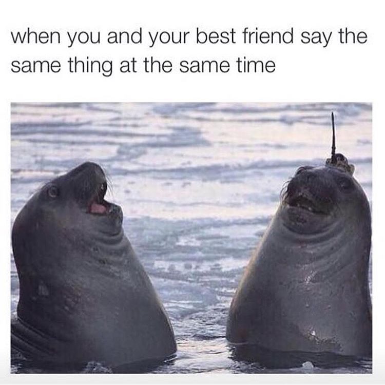 When You And Your Best Friend Say The Same Thing At The Same Time Funny