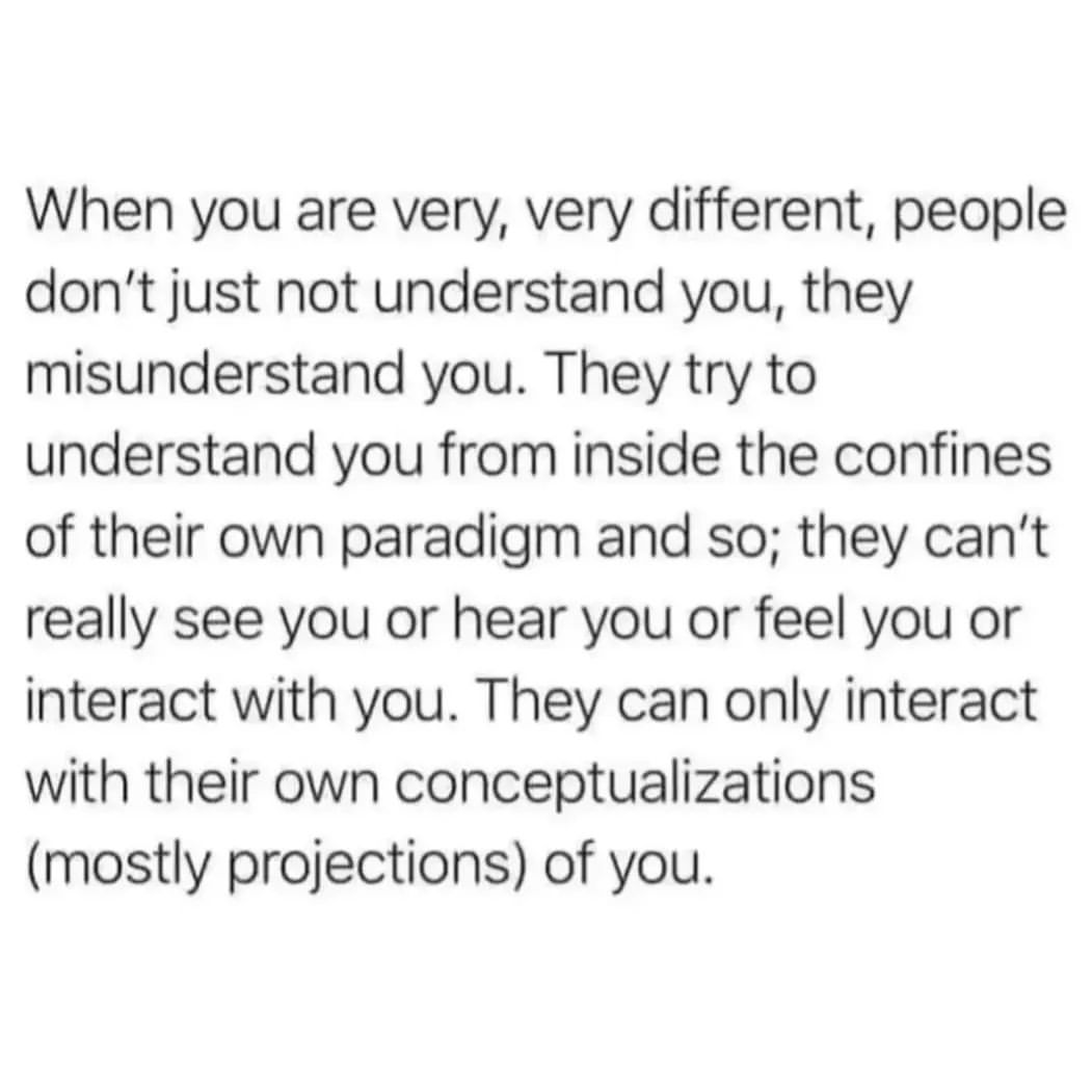 When you are very, very different, people don't just not understand you, they misunderstand you. They try to understand you from inside the confines of their own paradigm and so; they can't really see you or hear you or feel you or interact with you. They can only interact with their own conceptualizations (mostly projections) of you.