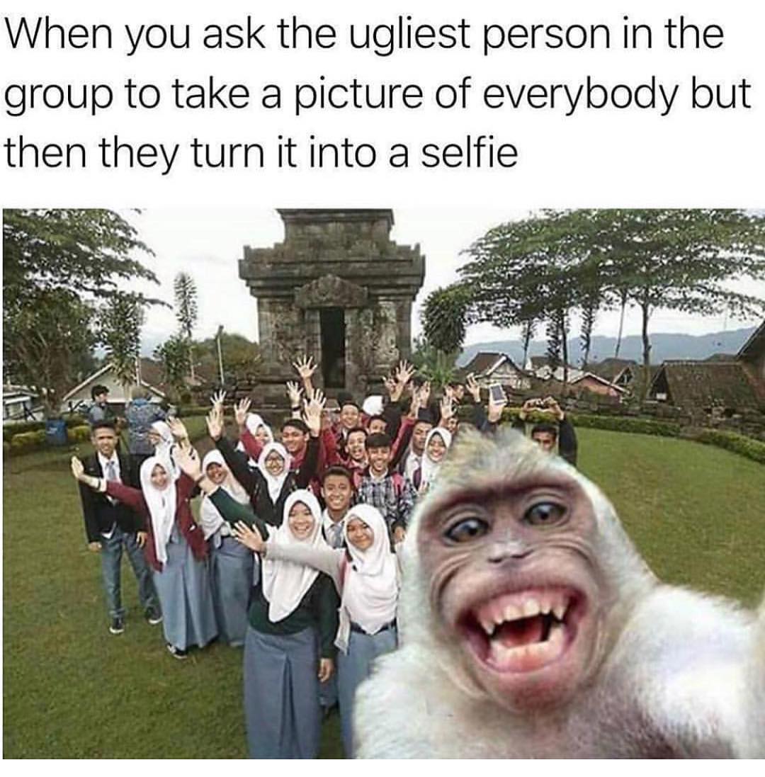 When you ask the ugliest person in the group to take a picture of everybody but then they turn it into a selfie.