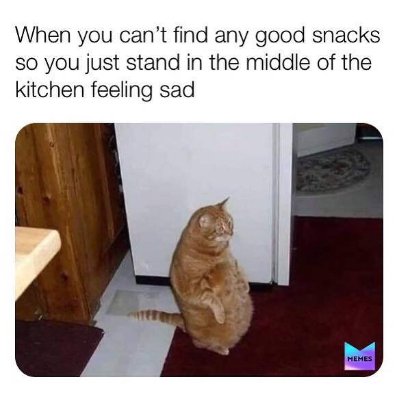 When you can't find any good snacks so you just stand in the middle of the kitchen feeling sad.