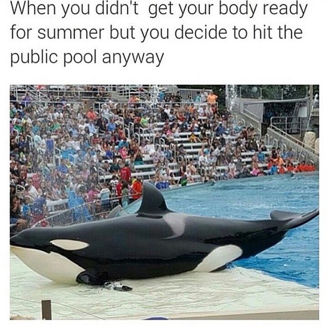 When you didn't get your body ready for summer but you decide to hit the public pool anyway.