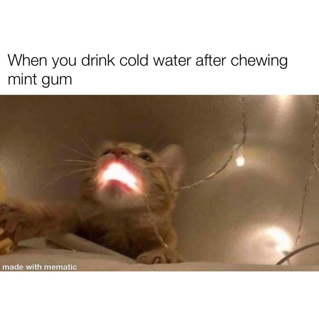 When You Drink Cold Water After Chewing Mint Gum Funny