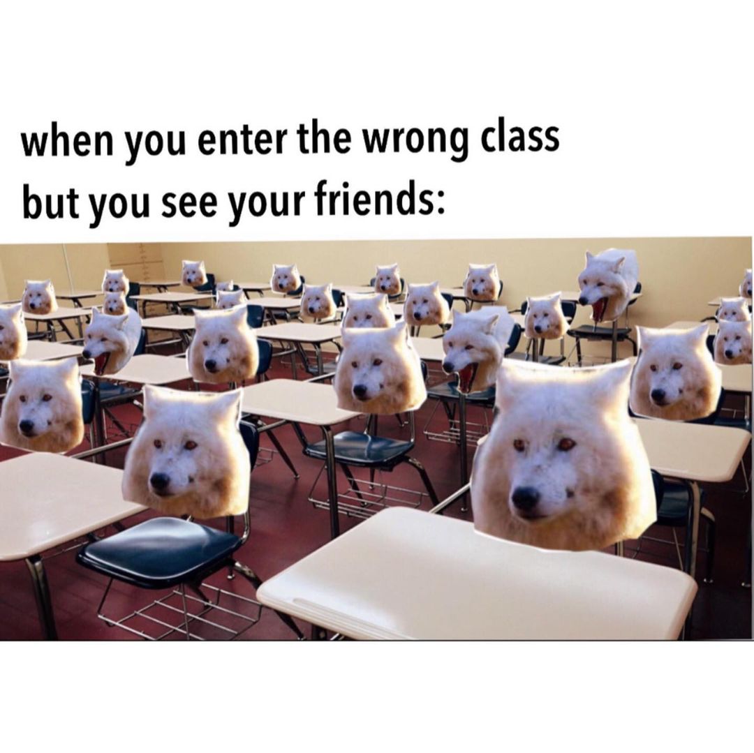 when-you-enter-the-wrong-class-but-you-see-your-friends-funny