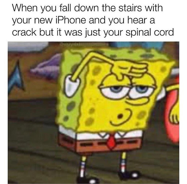 When you fall down the stairs with your new iPhone and you hear a crack but it was just your spinal cord.