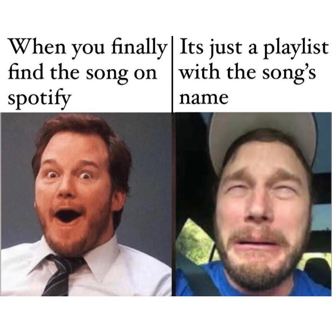 When you finally find the song on spotify. Its just a playlist with the song's name.