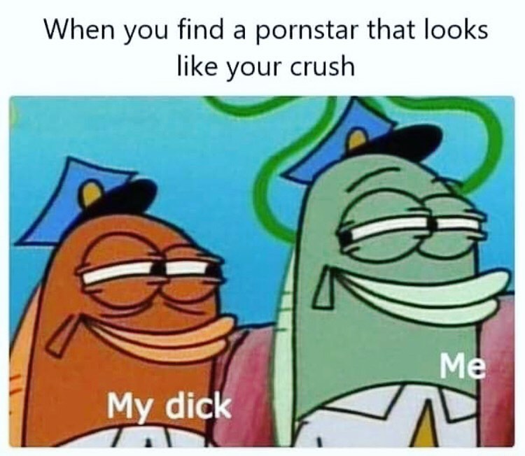When you find a pornstar that looks like your crush. My dick. Me