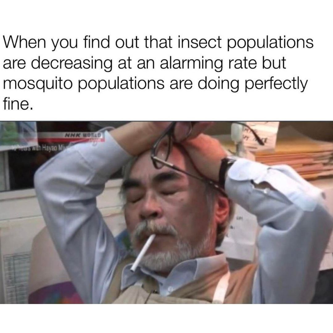 When you find out that insect populations are decreasing at an alarming rate but mosquito populations are doing perfectly fine.