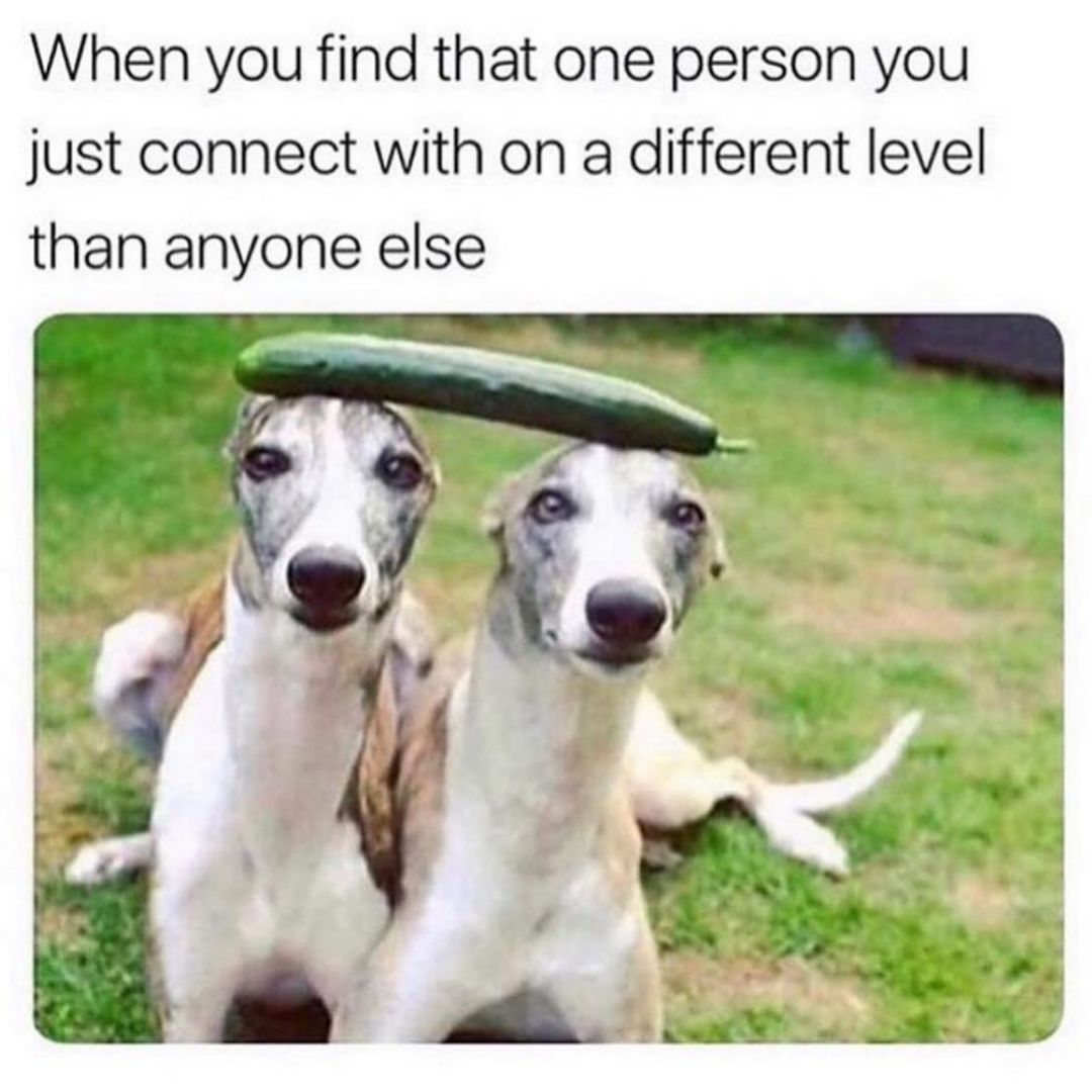 When you find that one person you just connect with on a different level than anyone else.