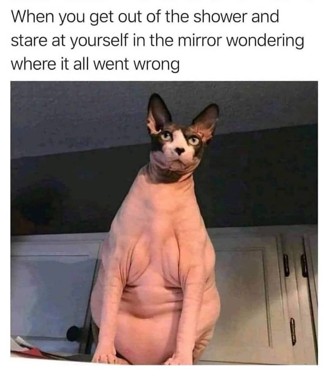 When you get out of the shower and stare at yourself in the mirror wondering where it all went wrong.