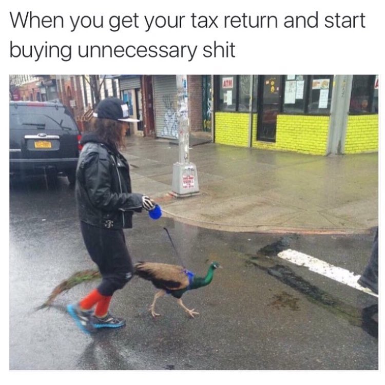 When you get your tax return and start buying unnecessary shit.