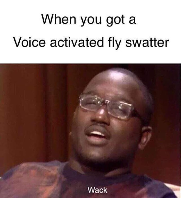 When you got a voice activated fly swatter. Wack.