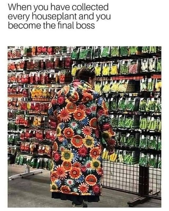 When you have collected every houseplant and you become the final boss.