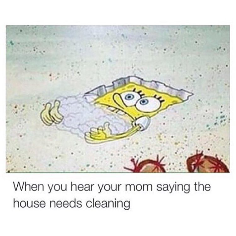 When You Hear Your Mom Saying The House Needs Cleaning Funny