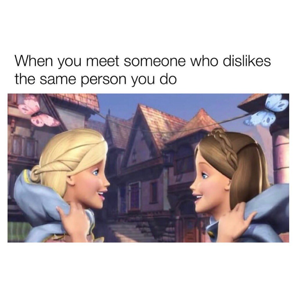 When you meet someone who dislikes the same person you do.
