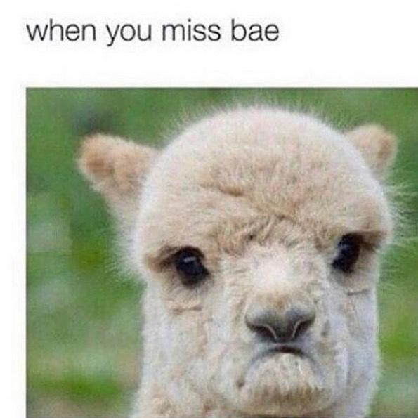 When You Miss Bae Funny 7386