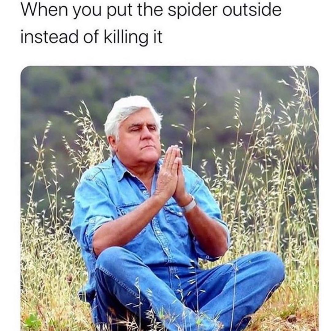 When you put the spider outside instead of killing it.