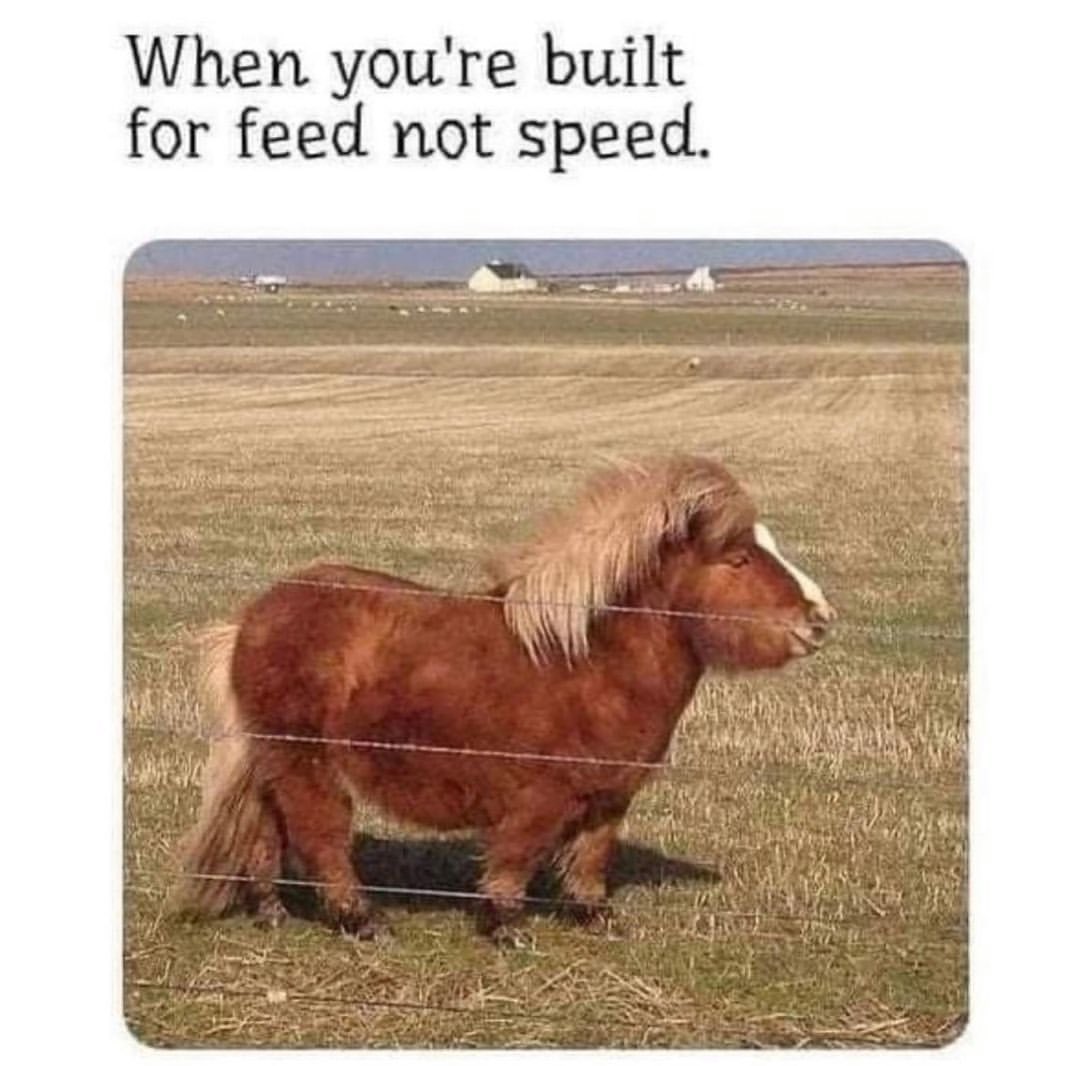When you're built for feed not speed.