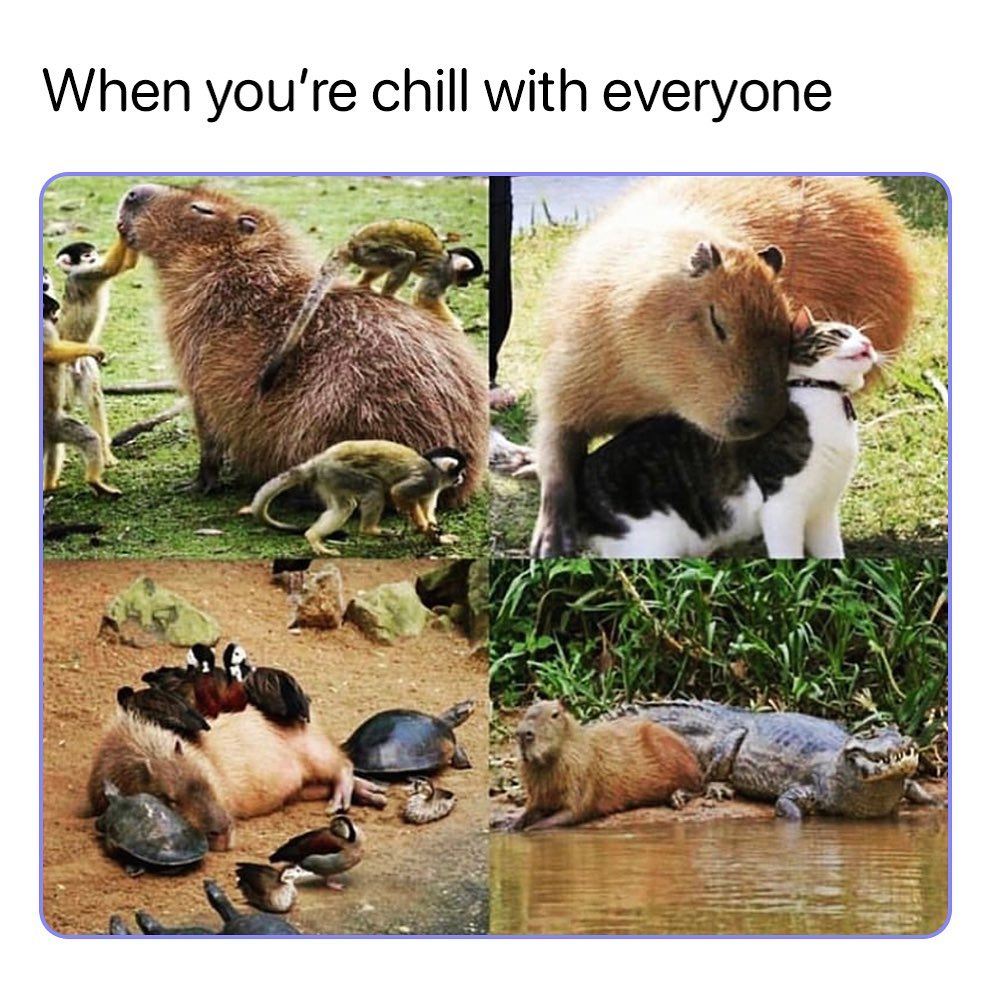 When you're chill with everyone.