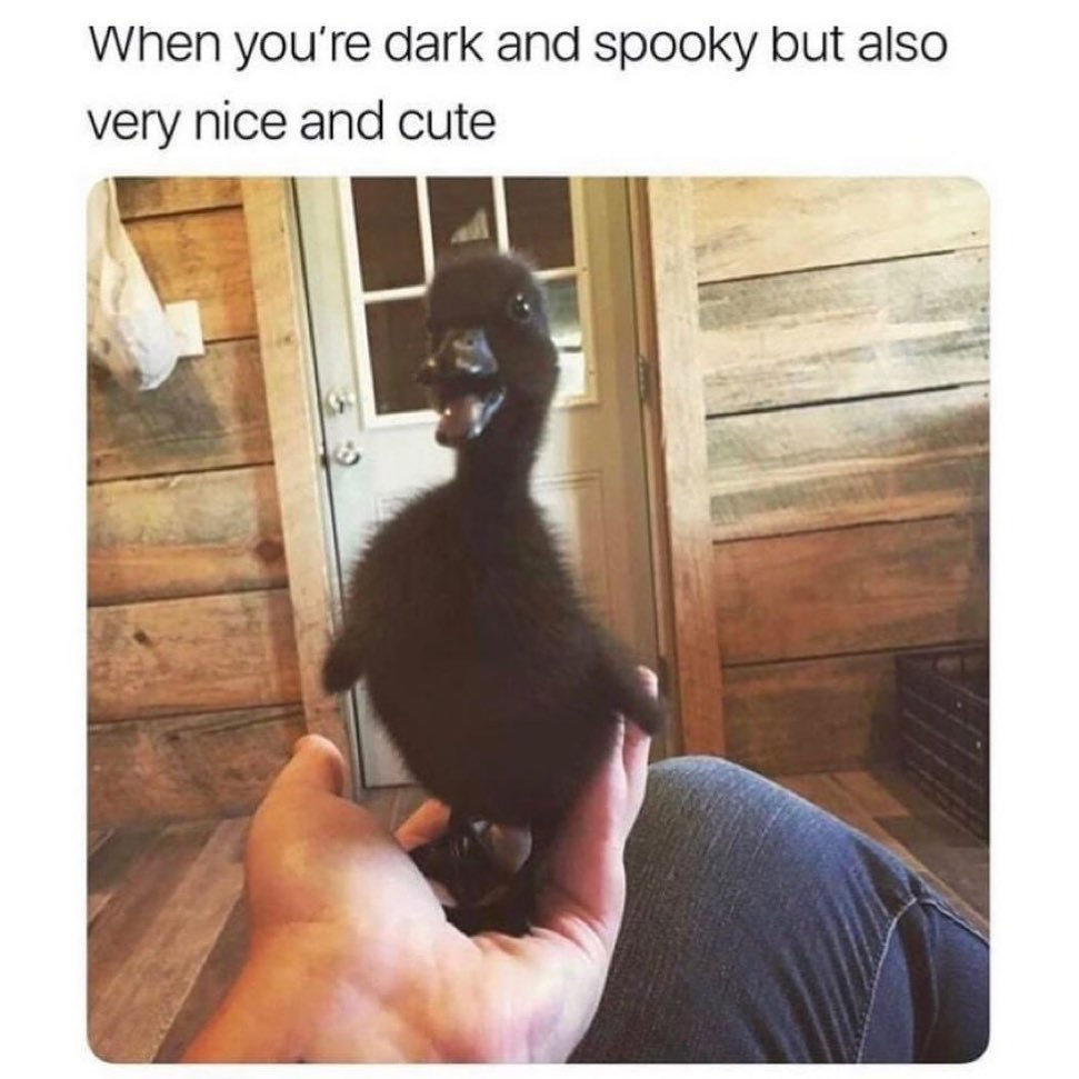 When you're dark and spooky but also very nice and cute.