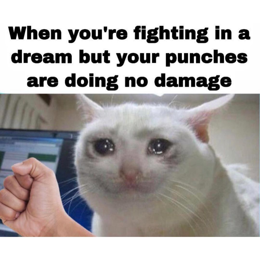 when-you-re-fighting-in-a-dream-but-your-punches-are-doing-no-damage