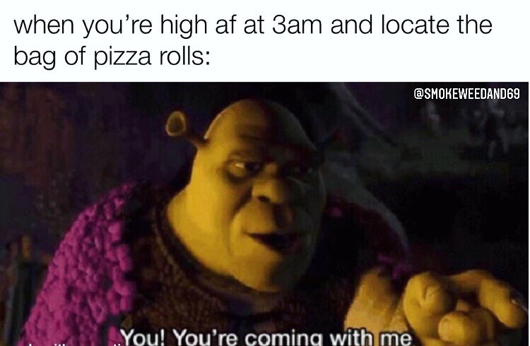 when you're high af at gam and locate the bag of pizza rolls:  You! You're coming with me.