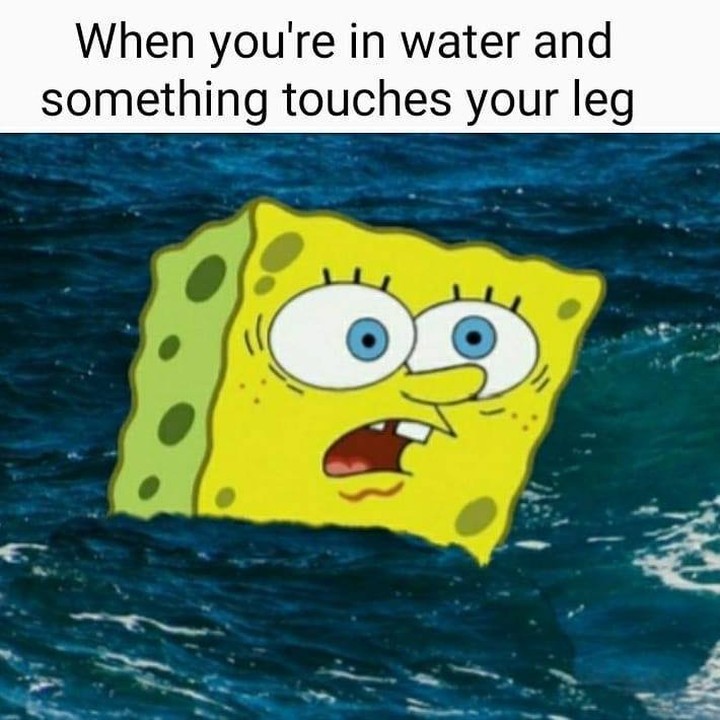 When you're in water and something touches your leg.
