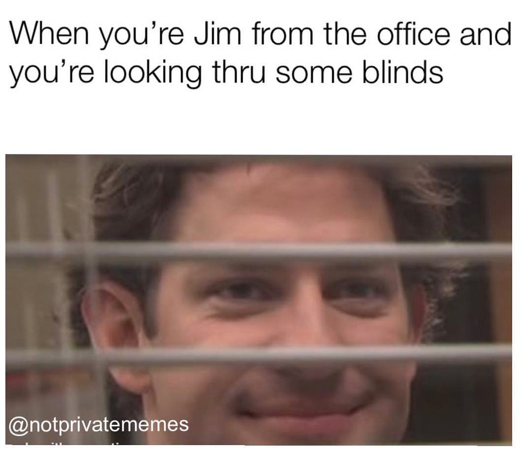 When you're Jim from the office and you're looking thru some blinds.