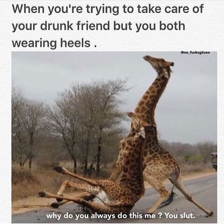 When you're trying to take care of your drunk friend but you both wearing heels. Why do you always do this me? You slut.