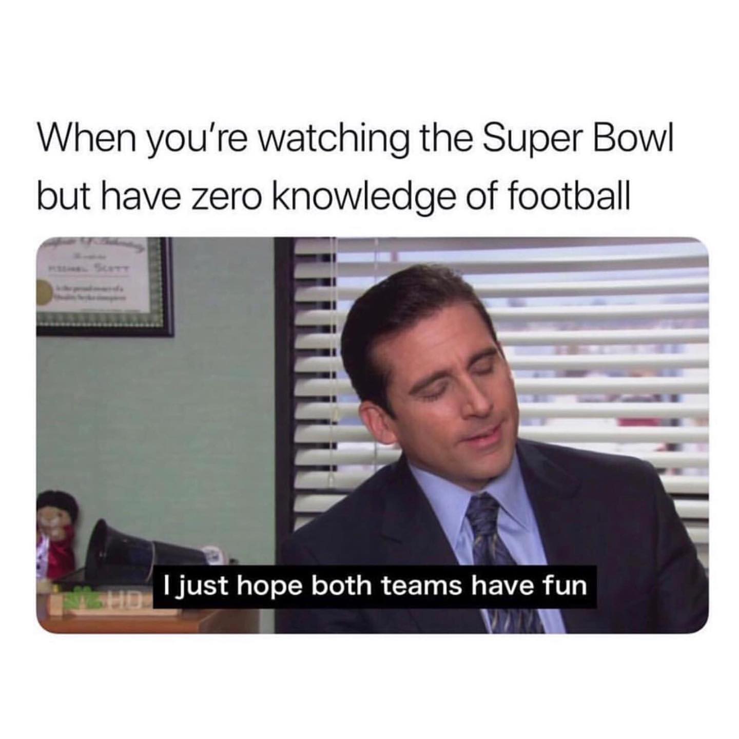 When you're watching the Super Bowl but have zero knowledge of football. I just hope both teams have fun.