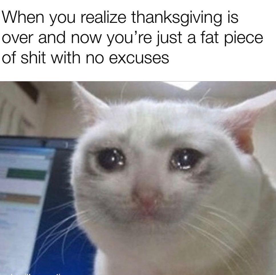 When you realize thanksgiving is over and now you're just a fat piece of shit with no excuses.