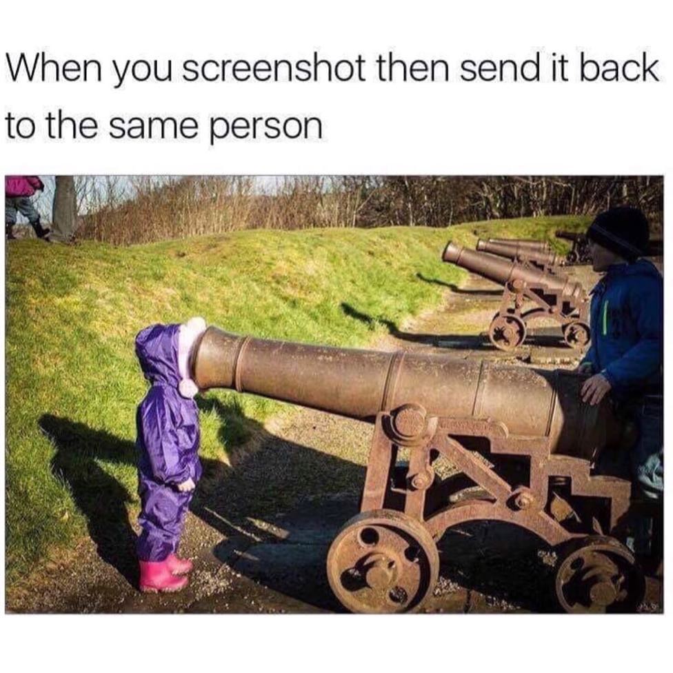 When you screenshot then send it back to the same person.