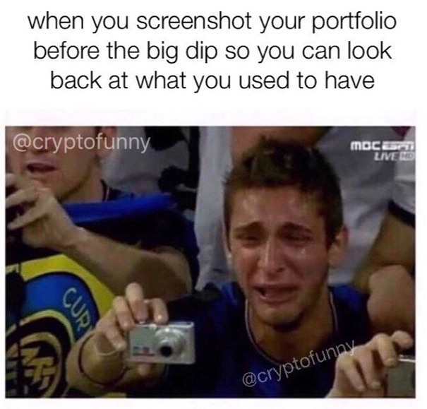 When you screenshot your portfolio before the big dip so you can look back at what you used to have.