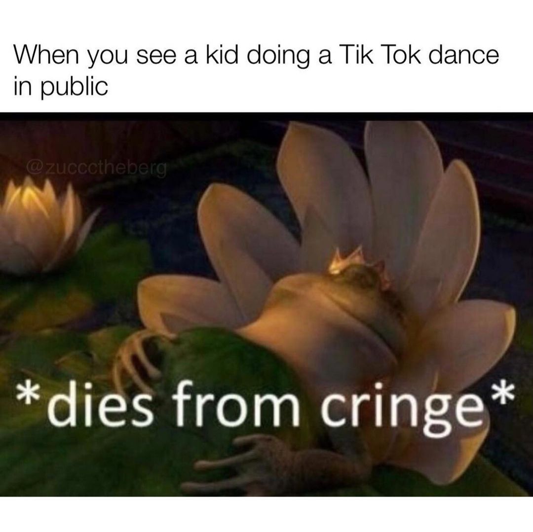 When you see a kid doing a Tik Tok dance in public *dies from cringe*