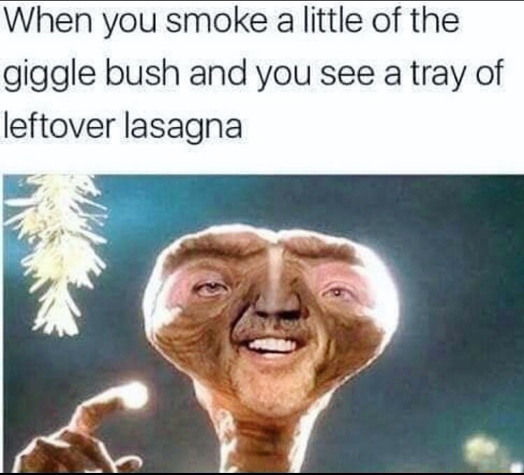 When you smoke a little of the giggle bush and you see a tray of leftover lasagna.
