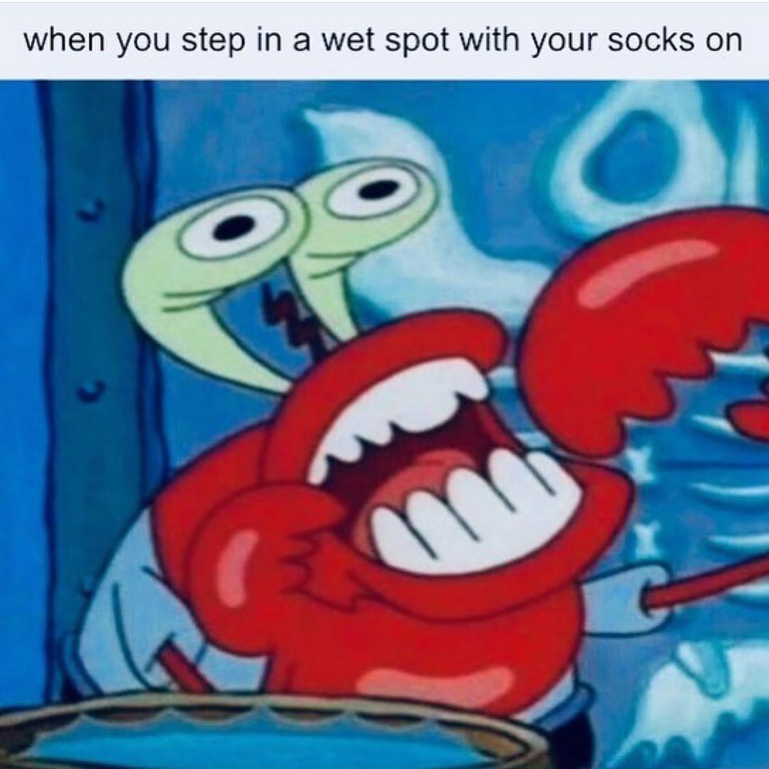 When you step in a wet spot with your socks on. - Funny
