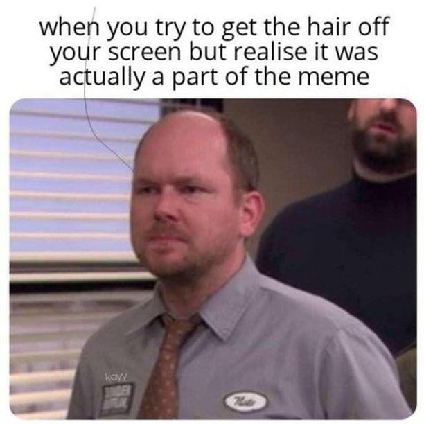When you try to get the hair off your screen but realise it was actually a part of the meme.