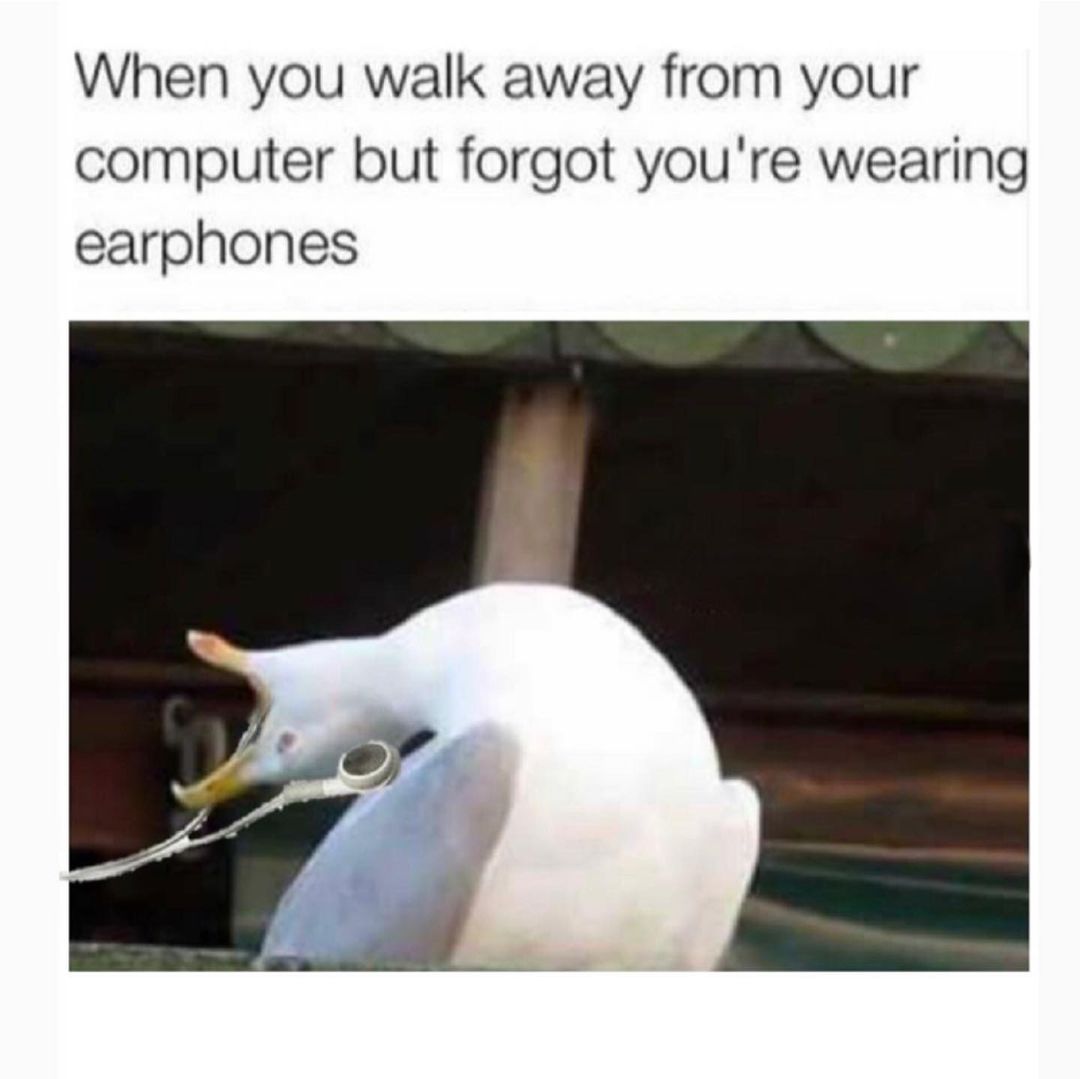 When you walk away from your computer but forgot you're wearing earphones.