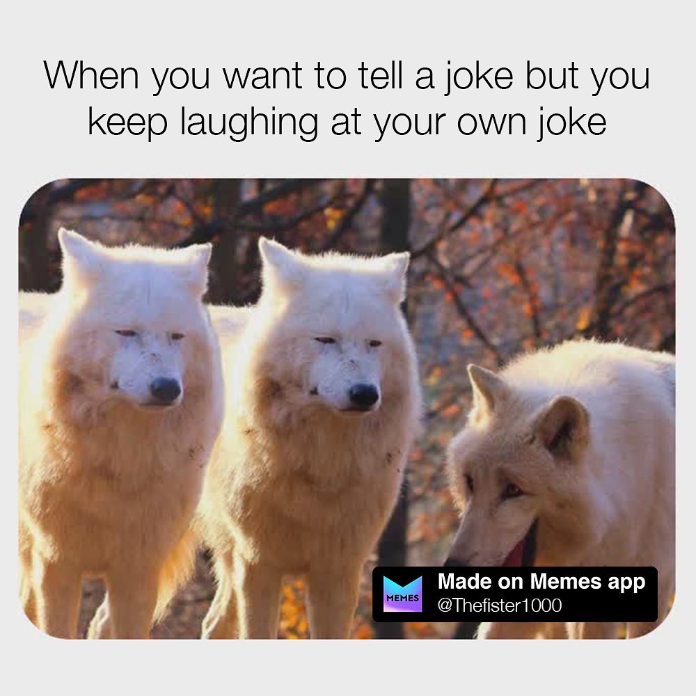 When you want to tell a joke but you keep laughing at your own joke.
