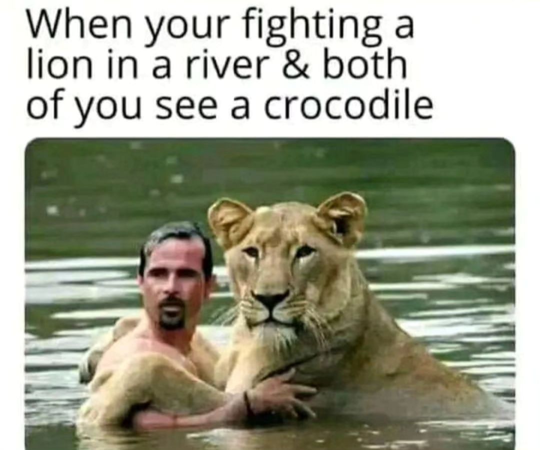 When your fighting a lion in a river & both of you see a crocodile.