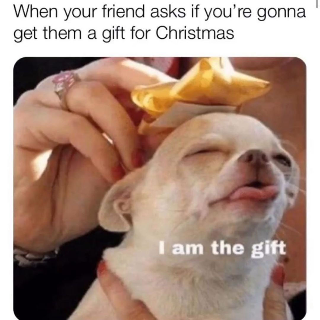 When your friend asks if you're gonna get them a gift for Christmas.  I am the gift.
