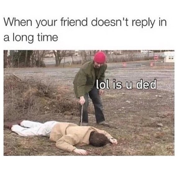 When your friend doesn't reply in a long time. Lol is u ded.