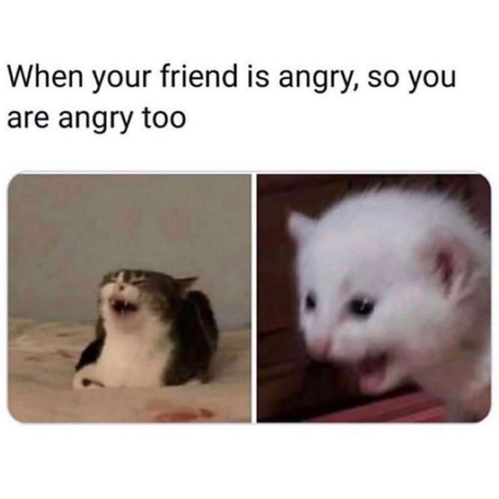 When your friend is angry, so you are angry too.