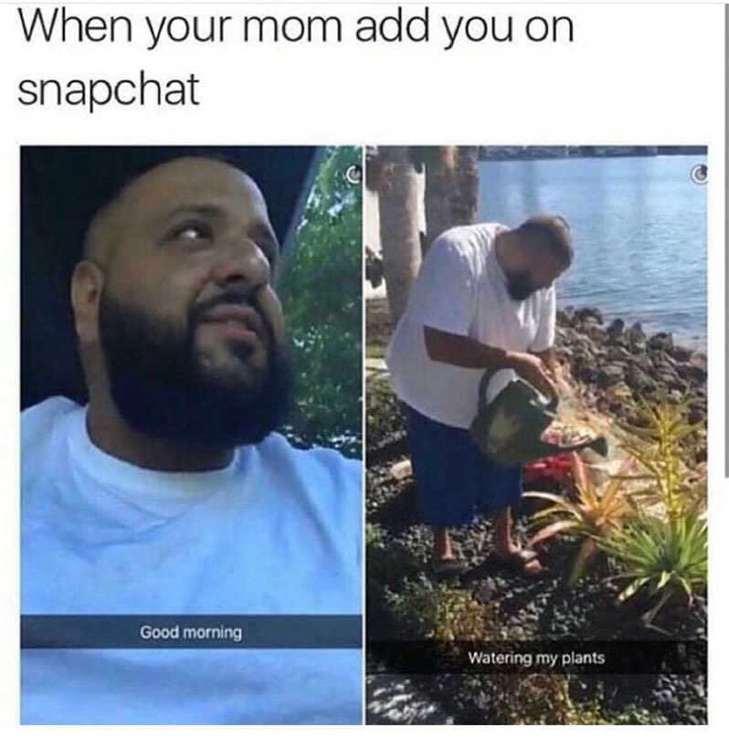 When your mom add you on snapchat. Good morning. Watering my plants.